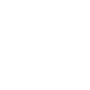 guard icon