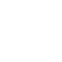 security icon
